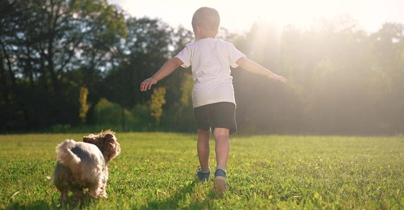 Why Pets are Nice for Educating Kids about Duty