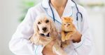 The Animal Clinic’s Ardour for Bettering the Lives of Animals