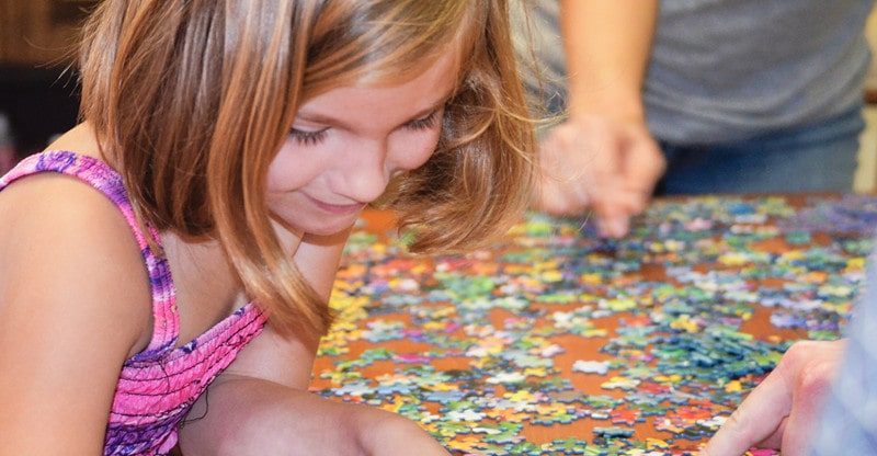 Jigsaw Puzzles: Their Multifunctional Goal Defined