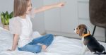 Pet Coaching 101: Sensible Ideas To Practice Your New Pet