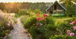 8 Distinctive Methods to Improve Your Backyard